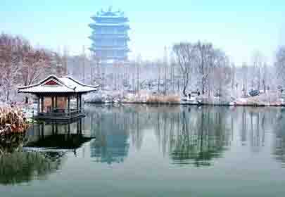 冬天，做個(gè)溫暖的人，努力向陽(yáng)生長(cháng)